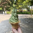 보성아이스크림 | 대한다원 보성 녹차밭, 입장료 및 말차 아이스크림 후기까지!