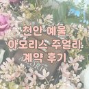 고금8호 | 천안 예물 [아모리스 주얼리] 계약 후기
