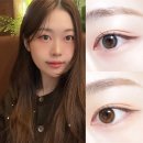 [렌즈 추천] 렌즈미 러버블 미니 그레이, 초코 후기 / 먼슬리 렌즈 추천