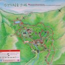 잣나무향기 | 가평 여름 숲캉스 여행 축령산 경기도 잣향기 푸른 숲 트레킹 코스 주차장 정보