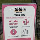 펫뛰뛰 | 반려견동반 가능한 명지 스타필드 펫파크 방문 후기