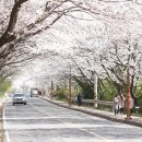 (주)남도