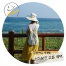 소미몬트 네이버블로그