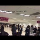 다리(DARI) 이미지