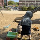 녹양초등학교 | 🌿 의정부 아기랑 갈만한곳 녹양초 모래놀이터 “나만 알고 싶은” 핫스팟 후기