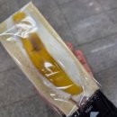 복정현대자동차서비스 | 극단적 선택은 내가 이런 정신머리로도 계속 살아있기로 한 게 극단적 선택이고