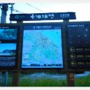 현내시장길 티스토리