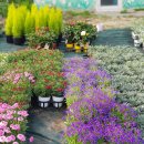 오병이어협동조합 이미지