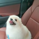 베베네 개스트하우스 이미지