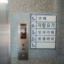 내 몸에 힐링요가 | 제주도요가 자람요가 내 몸에 맞는 힐링타임 할래요?