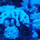 땅끝해양자연사박물관 이미지