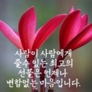 남편왈 손빨래 했어 이미지