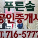 솔부동산중개사무소 이미지