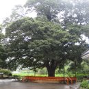 산내초교 이미지