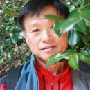 산속농장 이미지