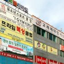 포항프라임복싱클럽 이미지