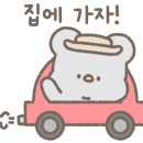 금관숲캠핑장 이미지