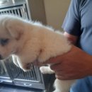 씨유 금왕두진점 이미지