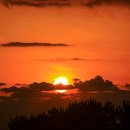 불로초목장 이미지