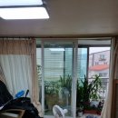 백두그린 이미지