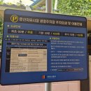 자유시장 | 파주 문산 자유시장 5일장 다녀온 후기 서울 근교 가볼 만한 곳 문산 4·9일장