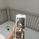 카페프리오더 | 얼스디아카이브 얼스빕 프리오더 후기 ㅣ내돈내산 구매후기 ㅣ 온라인 구매후기