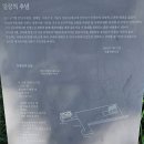 양재시민의숲 공원 테니스장 | 매헌시민의숲 후기