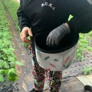 한국업사이클센터 | 제주 업사이클 수업 | 코팅된 폐현수막으로 만드는 농업용 바구니 만들기 (2시간)