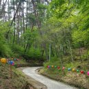 무릉도원면-11 이미지