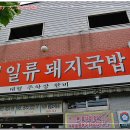 [사상 파라곤호텔옆 ]찰진돼지국밥집 - 합천일류돼지국밥 이미지