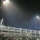 송암스포츠타운 야구장 이미지