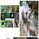 시티원부동산중개 이미지