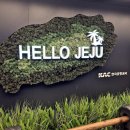 미영카 | 제주도여행(1)숙성도 미영이네 제주도렌터카 추천 후기!이렇게 솔직하게 써도 되나..?