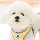 세이지힐 패밀리 캠핑장 이미지