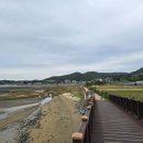 사곡리 데크 네이버블로그