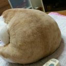그러하다 이미지