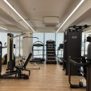 운동공방 | 장안동헬스 어깨 필수운동 아놀드 프레스 하는 법 부터 자극 포인트까지 한번에 정리