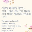 빛과 소금 이미지