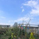 초정불고기 이미지