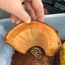 주사랑마트 이미지