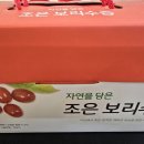 조은농장 | 과일즙추천 황가네유니농장 보리수즙
