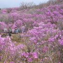 유가사 주차장(구) 이미지