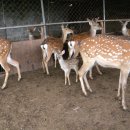 원당농장 이미지