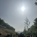 코알라패밀리 이미지