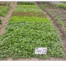 혜민농장 이미지