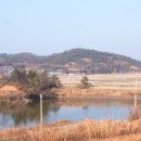 단군영당유허비 이미지
