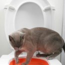 항플러스병원 이미지