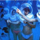 수중산책 이미지