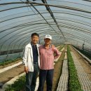 성욱농장 이미지