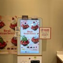 [망우 디저트] 설빙 망우점, 겨울 시즌 딸기빙수 후기